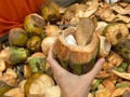Avete mai mangiato il cocco appena raccolto? È molto diverso dal cocco che siamo abituati a mangiare qui in Italia perché è fresco, quasi gelatinoso è buonissimo! Un altro valido motivo per visitare l’#Africa ❤️