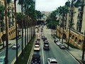 🌴🌴🌴