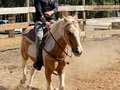 I’m gonna take my horse to the old twon road… ride til I can’t no more!