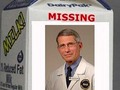 #WhereIsFauci