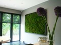 Which of these moss wall styles would work well in your home? #hometips #interiors