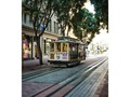 #streetcar #sanfransisco #streetsofsf #onlyinsf #igerssf #sfinsta #sanfransiscofeelings #sanfransiscoworld #californiaadventure #streetleaks #citygrammers #wanderlust #passionpassport #travelinggram #leicaworld #leicacollective #leicaporn #leicaq #collectivelycreate #lightshots #ig_color #ig_legit #ig_travels #ig_shotz_ #ig_california #ig_sf #ig_leica