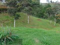 Lote en Rionegro  1 CUADRA  Cerca al aeropuerto Código 1313 Oriente Antioqueño Via Aeropuerto Hipódromo Venta $ 330.000.000 Info ☎️ 311 366 80 61