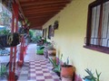 Finca en venta  Rionegro, vía aeropuerto hipódromo,  Venta $ 270.000.000 Info ☎️ 311 366 80 61
