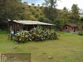 FINCA EL RETIRO Via Don Diego - La Ceja Código 2489 Habitaciones 4  Área construida 253 m² Área del Terreno 6.400 m² Venta $ 598.000.000 INFO ☎️ 311 366 80 61