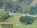 LOTE INDUSTRIAL Para Bodegas o Industria R I O N E G R O Autopista Medellin - Bogota Área de Lote  43.000 m² Venta $ 5.160.000.000 Info: Álvaro Lopez  311 366 80 61
