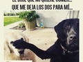 Jajajajajaja por favor los dos jajajaja  #amigos #comida #foods #perro #dog #Repost @cristian.frases (@get_repost) ・・・