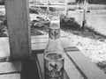 🍻🎶Para amar hay que emprender un trabajo interior que solo la soledad hace posible 🌞🌊