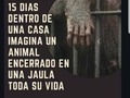 Aplica para todo el reino animal, merecen vivir en libertad, todo esto espero haga entender que le hacemos muchos daño al ecosistema y por lo tanto a nosotros mismos.