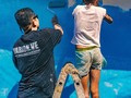 Nos encanta poder usar el arte para expresar lo que sentimos! Aquí usamos el poder del Arte para mostrar sentimientos lindos, de amor, de paz y de unidad! Nos encanta los colores azules y lo lindo que se ven cuando las cosas se hacen en Amor, en unidad y organizados; con un fin de dar un mensaje positivo al mundo.   "Be the change you wish to see in the 🌎"   "I am fortunate, thanks to God I live a comfortable life. I can choose my next meal, my clothing. But in Tierra bomba the people are not that fortunate, they have few choices, the community is plagued by pollution, a lack of clean water and a lack of housing.  The conditions in which they live made me realize how much change is needed.  We can continue to live an easy and comfortable existence while ignoring the needs of others or we can live a truely good life by helping the people of tierra bomba. I love my country, and there's no reason why we can't all benefit from the beautiful spirit of all of our people. There's no reason why we can't choose to create a new normal right here, right now. I've made my choice. To me, and hopefully to you, that choice is clear. to my it is common sense"   Lo que le falta a muchos. Sentido común! Lamentablemente su sentido común es el de destruir!  Aquí la Filosofía de Amigos del Mar es el cambio! El temor de Dios, la unidad en el espíritu y el trabajo en equipo basado en educación, disciplina y mucho amor. Usa tu sentido común! Y ayuda a los demás!   Se el cambio que quieres ver en el mundo.  Gracias @marion.ve y @idealistapragmatico por hacer parte de esta linda obra maestra!