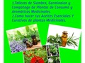 Para particulares y Labor social se reconocen 40 horas en cada Taller.  1.Como hacer tus Aceites Esenciales Y Curativos de plantas Medicinales.  2.Talleres de Siembra, Germinaion y Compotage de Plantas de Consumo y Aromáticas Medicinales.  Crea tu propio Emprendimiento Sostenible . Separa tu Cupo son Limitados. Solo trae tus frascos de 1onz =30ml. Tendremos Premios.  Donación $50 por Taller. Si lo toma individual $60 Incluye Materiales. Dia: 1er Taller Domingo 23 de julio Hora:10am 2do Taller Domingo 30 de julio Hora:10am  Su Donación es deducible de impuestos #pty507 #panama #taller #tallerescreativos #plantasmedicinales