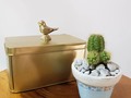 📱3007645275 #plantas #viveros #plantasnaturales #jardineria  #viverosenbarranquilla  #plantasdeflor #quierounaplanta  #amomijardin  #cactus
