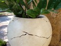 Matera Luna llena, ideal para plantas de interior. 📱3007655275