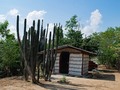 Algunas fotos de la ta, la última foto es del lugar dónde nos hospedamos @casadecampoloscactus los anfitriones son un amor, nosotros reservamos por booking, realmente lo mejor es ir en noche sin luna, todos los trayectos son fácil de hacer, lo importante es madrugar para que ese Sol ☀️ no haga lo suyo, la verdad es un lugar hermoso al que espero ir a ver el cielo en la noche. 🌵🌵🌵 . #desiertodelata #huila #colombia #viajacolombia #explorecolombia #desiertorojo #desiertogris #amacolombia #colombie