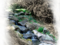 the brook in regents park