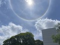 Salgan a ver el cielo. gokú está haciendo la Genkidama