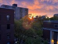 May 8, 2022 NY.
