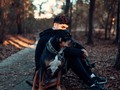 Shadow and I posing 🥰