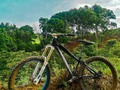🚲🍃❤️