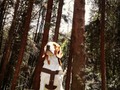#sunday #dog #familia #friends #love #amorperruno #amorpuro #mivida #beagle #tommy @tommyandrez10 #picoftheday #photography #naturephotography #naturaleza #bosque
