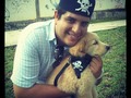 La #Golden pirata #pirate #dog #puppy #halloween