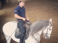 #Gavilan en @lusitanos_merida