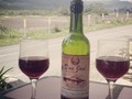 Así te reciben en @elrinconburger páramo la #culata #Merida mis amigos @fabricioconde76 y @olivarcarolina disfrutando de un buen #vino de #Mora #hamburguesas artesanales #Venezuela