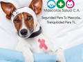 Ya en #Barquisimeto @mascotassalud ASEGURA la salud de tu peludo con nuestros planes y servicios... pregunta también al 04245924990
