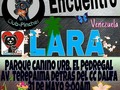 #Repost @fundacionpeludosalrescate ・・・ Asiste este domingo con tu pincher.... y lleva un donativo para los peludos de @fundacionpeludosalrescate ya sea alimento, medicina, periódico etc @clubpincher @clubpincher #clubpincher #pincher #pinscher #puppypinscher #dog #dogs #animal #mascota #amorperruno #venezuela #familia #perros #minidobermann #amor4patas #oficial #caninos #canino #Instadogs #instadog #perruno #Picherlove #minidoberman #amoamiperro #lara #seguidores #unicos #originales #oficial #familia #venezuela #amoamiperro #amoamimascota #barquisimeto