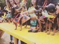 @mascotassalud también aconpañó el Concurso de disfraces Hawaianos del @clubpincher y @fundacionpeludosalrescate en el #ParqueCanino de #Barquisimeto @tuciudadideal