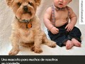 Asegura a tu mascota con @mascotassalud llama al 04245924990 y pregunta por nuestros planes y servicios de salud veterinaria en #Barquisimeto