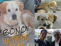 #GRATITUD es saber que en el mundo aún existen muy buenas personas! Gracias a mi @Hefzihance 💜 por preocuparse tanto por este perrito, a @mechegragirena proteccionista, quien por intermedio de @jpariacano pudo conseguirle hogar a #Bono a través del sr. en la foto Efrain Moreno. El, al enterarse del caso del perro abandonado durante su visita a #Barquisimeto no dudó en decidir llevárselo a #Maracaibo para su vivienda donde podrá jugar en un gran terreno con gente que ama a los animales. La verdad es que lo que uno siente es gratitud al lograr que en poco tiempo, gracias a nuestro #DIOS encontramos a muy buenas personas para cambiarle la vida a un perrito que tenía días abandonado en la Urb. Del Este, aunque los vecinos le daban comida no tenía hogar, de inmediato decidimos hacernos cargo difundiendo el caso. Finalmente hoy pudimos bañarlo aunque con mordida incluida a @hefzihance como cada perrito o gatico que hemos rescatado #Bono (nombre que decidimos ponerle democráticamente) se dejó cuidar un poco para emprender su viaje Marabino. Se fue bañadito y comidito, con su perrarina y agua para el camino.  #Gracias a todas las personas, y ONG que pudieron publicar y repostear la foto sin que se les cayera un pulgar o se contagiaran de zika, lo logramos! Dios los bendiga siempre!