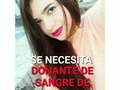 #Barquisimeto #DonantesdeSangre 👉 @soypedrotercero - Se solicitan donantes de sangre de cualquier tipo para MI PRIMA Gabriela Zavarce de 18 años edad que sufrio un accidente, recluida en trauma shock del antonio maria pineda (HOSPITAL DE BARQUISIMETO). Teléfono de contacto 0426-5530968. Urgente. #Regrann