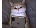 Yo esperando que MazzoleniJulio twittee 🙁