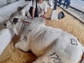 Un día de feria con mi papi.  #quierounavaca