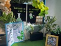 ALQUILER DE MOBILIARIO Y DECORACIÓN CON GLOBOS #ProyectoCientífico