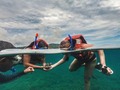 #Tbt #coibaisland #islagranitodeoro #diving #domegopro #freediving #snorkel #starfish #veraguas #selfiepelomundo #summerdays #freedom #beachlove #gopro6 #sea🌊 #gopropanama #goprophoto #skyporn #goworldwide #goprogirl #goprohero6 #madeinpanama #goprodaily #goprovacations #raw_alltrees #goproadventure #goproenthusiasts #goworldwide #pty🇵🇦 #paradise