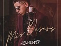 Pusho – Mis Deseos