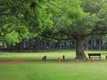 寧靜的校園