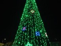 #caucasia ESTE ÁRBOL DE NAVIDAD DE 15 METROS SE ENCUENTRA EN EL BARRIO PARAGUAY EN CAUCASIA ANTIOQUIA,HOY FUE PRUEBA DE LUCES #navidad2022