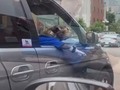 Así son ellos espectaculares comenta aquy si tiene tu mascota con ese style único yo tengo los míos un abrazo para todos los #animalovers,#fitnessde4patas @fitde4patas