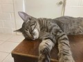 A veces la siesta es lo mejor del dia!