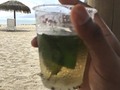Cómo va su semana?