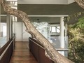 Casa Cocobolo.⠀ Designed by Cañas Arquitectos ⠀ Located in Montezuma, Costa Rica📍🇨🇷⠀ #Architecturenow⠀ .⠀ .⠀ .⠀ #architect #arquitecto #arquiteto #casa #house #home #design #light #photography #modern #pool #housedesign #housedecor #architectlife #architectdesign #architectplans #houseplant #architectblog #arquitectonico #arquitectosmodernos #arquitetobrasil #nycarchitecture #nycarchitect #homedecor #losangelesarchitecture #modernhome