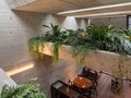 Statera Restaurant.⠀ Designed by @studiomd27 ⠀ Located in Lima, Peru📍🇵🇪⠀ #Architecturenow⠀ .⠀ .⠀ .⠀ #architect #arquitecto #arquiteto #casa #house #home #design #light #photography #modern #pool #housedesign #housedecor #architectlife #architectdesign #architectplans #houseplant #architectblog #arquitectonico #arquitectosmodernos #arquitetobrasil #nycarchitecture #nycarchitect #homedecor #losangelesarchitecture #modernhome