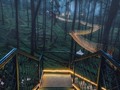 Swipe Left! 😍💚🍃 Nature + Architecture.⠀ _____⠀ Cikole Orchid Forest Park⠀ Location: #Lembang, #Indonesia⠀ Photo by @warmanwardhani ⠀ _____⠀ #designer #architect #exterior #park #themepark #wood #wooden #facade #tree #travelphotography #travel #adventure #art #bridge #nature #nature_lovers #landscape⠀ ---