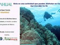 Esta es una de las actividades a disfrutar en Cancun. operamos hoteles de primera linea de playa y todo incluido. #AriatoursTeLleva #xcaretpark Info y reservas: 658 76 07 Cel 3142827476 Of calle 14 N° 14 - 21 centro Granada. #Ariatours10Años