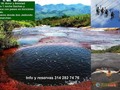 Amor y amistad en los jacuzzis naturales en las gachas Santander y paseo en bicicletas aereas en Villa de Leiva. Raquira y puente de Boyaca. almuerzo restaurante don Jediondo en Sutamarchan. 2 desayunos, 2 almuerzos y 1 cena. Info y reservas: 3142827476 Valor p/p $480.000. Of calle 14 Nº 14 - 21 centro Granada. #AriatoursTelleva a los sitios mas hermosos de Colombia.
