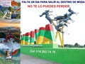 ÙLTIMO DIA PARA RESERVAR Y VIAJAR A PRECIO DEL AÑO PASADO AL DESTINO DE MODA. Lo mejor del Huila y sus miradores de mano de gigante, parque acuatico, piscina con olas, toboganes, termales, desierto de la Ta y Neiva en 3 dias 2 noches hotel campestre. Transporte desde Granada ida y regreso, 3 desayunos, 3 almuerzos y 3 cenas. SALIDA: ENERO 20/2023 HORA 8.00PM Reserva ya y disfrute el destino de moda mas visitado que lo tiene todo. naturaleza, desierto, recreacion y mas: 3142827476 Of calle 14 Nº 14 - 21 centro Granada. #AriatoursTeLleva.