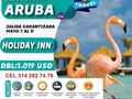 Aruba 4 noches mayo 7 - 11 con desayuno diario, traslado aeropuerto hotel aeropuerto y seguro medico al viajero. Info y reservas 3142827476 Of calle 14 Nª 14 - 21 centro Granada. #AriatoursteLleva.